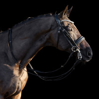 Trense HV Polo Legacy deluxe Schwarz Trense HV Polo Legacy deluxe Schwarz