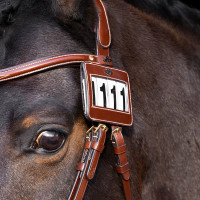 Kopfstücknummer HV Polo Legacy Braun