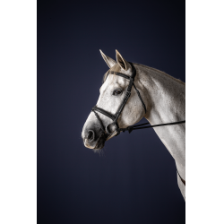 Kombiniertes Reithalfter Bridon Dy'on New English Collection