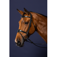 Kombinierte Reithalfter-Trense Anatomisch Dy'on New English Collection Schwarz