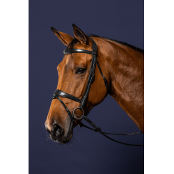 Kombinierte Reithalfter-Trense Anatomisch Dy'on New English Collection Schwarz