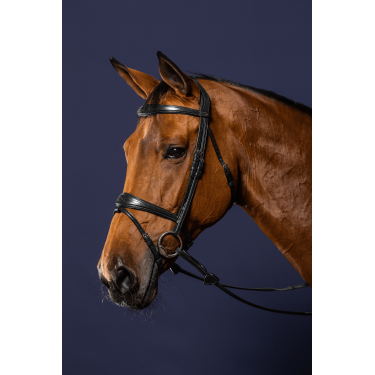 Kombinierte Reithalfter-Trense Anatomisch Dy'on New English Collection Schwarz