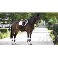 LeMieux Close Contact ProSorb Sattelkissen mit 2 Taschen Schwarz LeMieux Close Contact ProSorb Sattelkissen mit 2 Taschen Schwarz