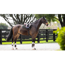 LeMieux stoßdämpfende Schabracke ProSorb Mixte Square mit 2 Taschen Schwarz