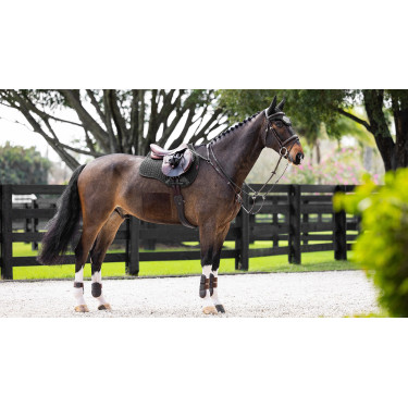 LeMieux stoßdämpfende Schabracke ProSorb Mixte Square mit 2 Taschen Schwarz