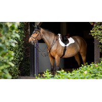 LeMieux stoßdämpfende Schabracke ProSorb Mixte Square mit 2 Taschen Schwarz