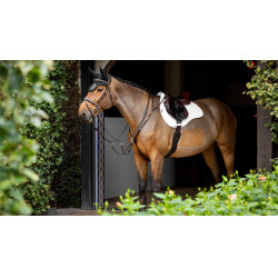 LeMieux stoßdämpfende Schabracke ProSorb Mixte Square mit 2 Taschen Weiß Weiß