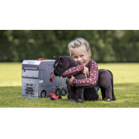 Camion en carton pour jouet poney LeMieux