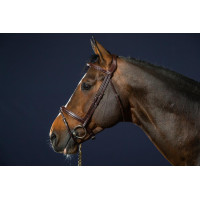 Kombiniertes Reithalfter Bridon Dy'on New English Collection Schwarz Kombiniertes Reithalfter Bridon Dy'on New English Collection Schwarz