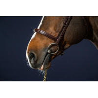 Kombiniertes Reithalfter Bridon Dy'on New English Collection Schwarz Kombiniertes Reithalfter Bridon Dy'on New English Collection Schwarz