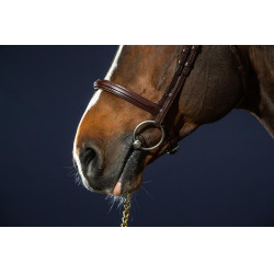 Kombiniertes Reithalfter Bridon Dy'on New English Collection Braun