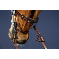 Kombiniertes Reithalfter Bridon Dy'on New English Collection Braun