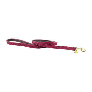 Laisse pour chien Plaited Nylon 120 cm Kentucky Bordeaux