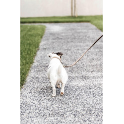 Hundeleine Geflochtenes Nylon 120 cm Kentucky Hundeleine Geflochtenes Nylon 120 cm Kentucky