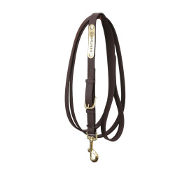 Vorführleine Kentucky Braun