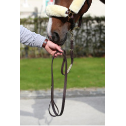 Vorführleine Kentucky Braun Vorführleine Kentucky Braun