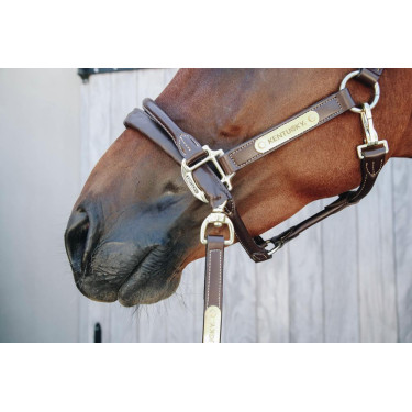 Präsentationsstrick und Kette aus Kentucky-Leder Präsentationsstrick und Kette aus Kentucky-Leder