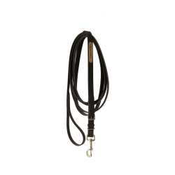 Vorführlonge Hengst Kentucky Braun