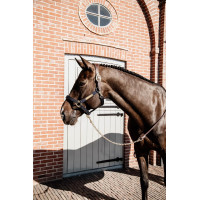 Longe Präsentation aus Leder Kentucky Schwarz Longe Präsentation aus Leder Kentucky Schwarz