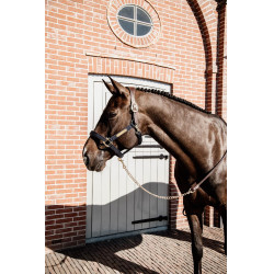 Longe Präsentation aus Leder Kentucky Braun Longe Präsentation aus Leder Kentucky Braun