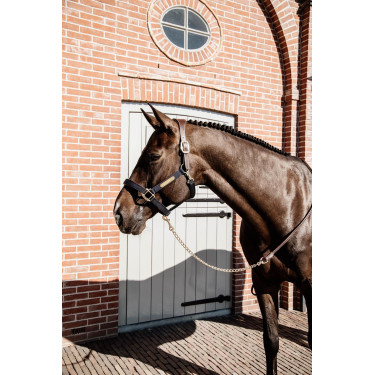 Longe Präsentation aus Leder Kentucky Braun Longe Präsentation aus Leder Kentucky Braun