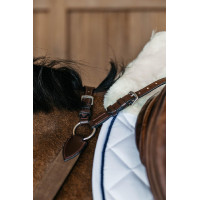 Brustblatt 5-Punkt mit Elastik New English Collection Dy'on Braun Brustblatt 5-Punkt mit Elastik New English Collection Dy'on Braun