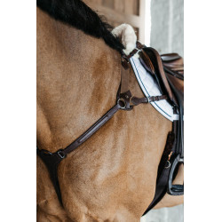 Brustblatt 5-Punkt mit Elastik New English Collection Dy'on Braun Brustblatt 5-Punkt mit Elastik New English Collection Dy'on Braun