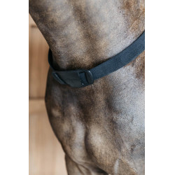 Elastischer Vorderzeug New English Collection Dy'on Schwarz