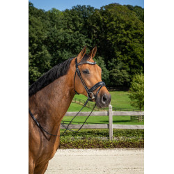 Kombiniertes Reithalfter Mittel mit Pull-Back Dressur Rundleder Dy'on