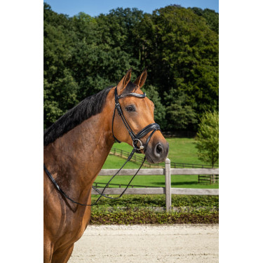 Kombiniertes Reithalfter Mittel mit Pull-Back Dressur Rundleder Dy'on