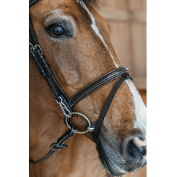 Kombinierter Reithalfter-Zaum mit Karabinerhaken Working by Dy'on Braun