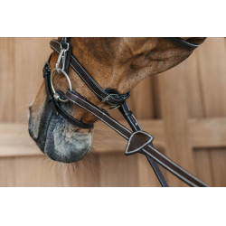 Kombinierter Reithalfter-Zaum mit Karabinerhaken Working by Dy'on Braun