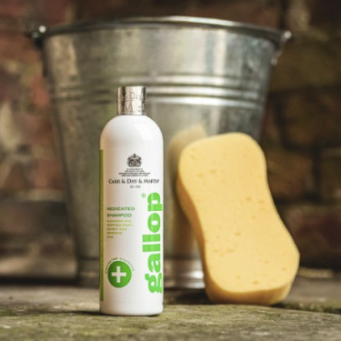 Antibakterielles Shampoo Gallop® Carr & Day & Martin Antibakterielles Shampoo Gallop® Carr & Day & Martin