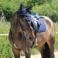 Wellington-Kentucky-Mütze Schwarz Wellington-Kentucky-Mütze Schwarz