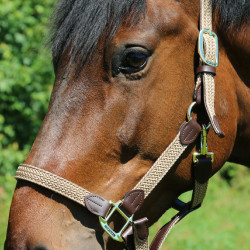 Halfter Geflochtenes Nylon Kentucky Halfter Geflochtenes Nylon Kentucky
