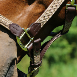 Halfter Geflochtenes Nylon Kentucky Halfter Geflochtenes Nylon Kentucky