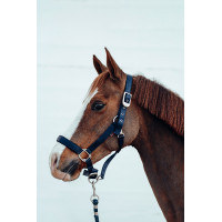 Halfter Hardwick B Vertigo Dunkelmarineblau