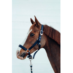 Halfter Hardwick B Vertigo Dunkelmarineblau