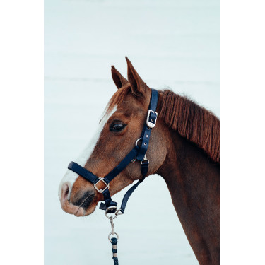 Halfter Hardwick B Vertigo Dunkelmarineblau