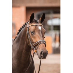 Stirnband Horze Nancy Kristall mit Stirnband Linie Horze Braun / Roségold Stirnband Horze Nancy Kristall mit Stirnband Linie Horze Braun / Roségold