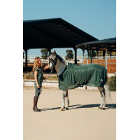 Fliegenschutzmaske Horze Oslo Grüner Koriander Grün Fliegenschutzmaske Horze Oslo Grüner Koriander Grün