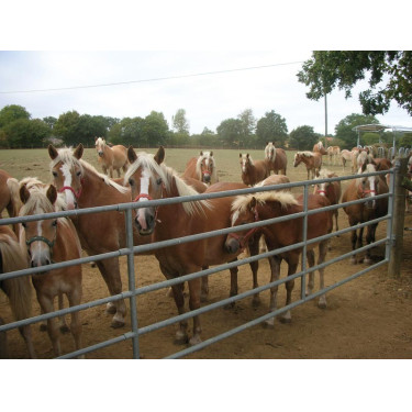 Barrière d'herbage extensible La Gée