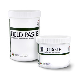 Feld Paste Rotes Pferd Feld Paste Rotes Pferd