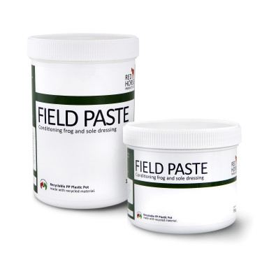 Feld Paste Rotes Pferd Feld Paste Rotes Pferd