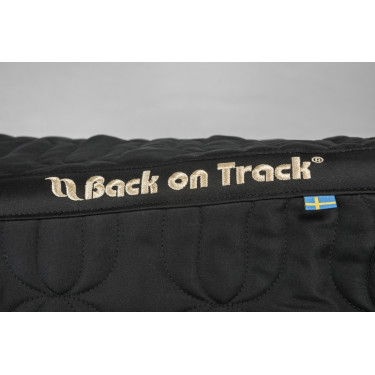 Satteldecke CSO Back On Track Satteldecke CSO Back On Track