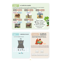 Mon Cahier d'Activités - Niveau CM2 LAVAUZELLE