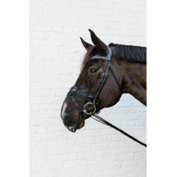 Nasenriemen Kentucky Schwarz