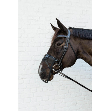 Nasenriemen Kentucky Schwarz