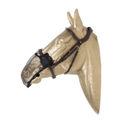 Nasenriemen Kentucky Schwarz