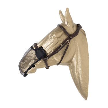 Nasenriemen Kentucky Schwarz